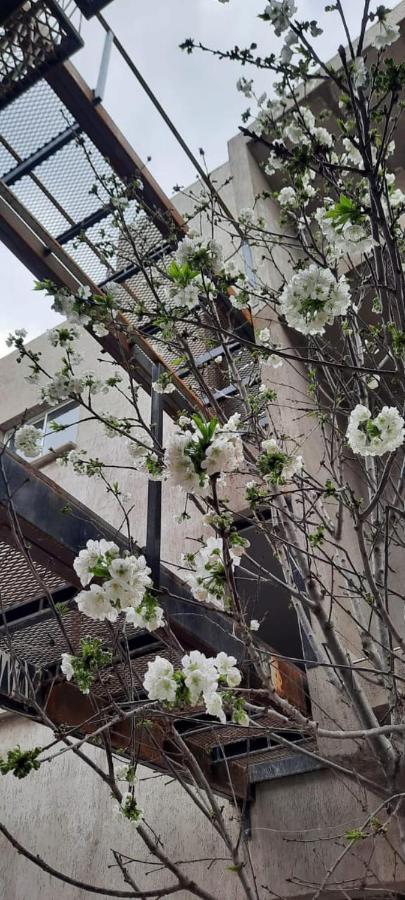 شقة ميندوزا  في El Cerezo المظهر الخارجي الصورة